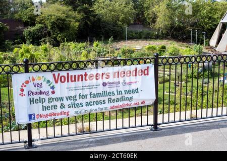 Giardinaggio su terra bonificata, Hexagonn, lettura Foto Stock