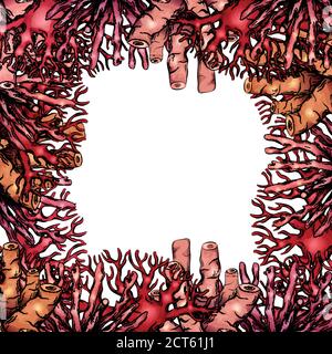 Cartoncino quadrato con bordo di vari coralli cartoni animati colorati e posto per il testo. Manpiastra vettoriale per striscioni, schede e il vostro disegno. Illustrazione Vettoriale