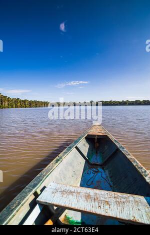 Gita in canoa sul lago Sandoval, la riserva nazionale di Tambopata, la giungla amazzonica del Perù, Sud America Foto Stock