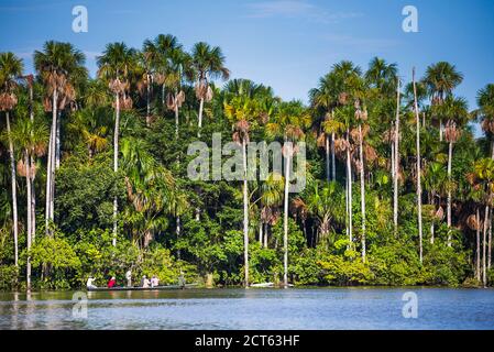 Gita in canoa sul lago Sandoval, la riserva nazionale di Tambopata, la giungla amazzonica del Perù, Sud America Foto Stock