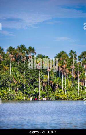Gita in canoa sul lago Sandoval, la riserva nazionale di Tambopata, la giungla amazzonica del Perù, Sud America Foto Stock