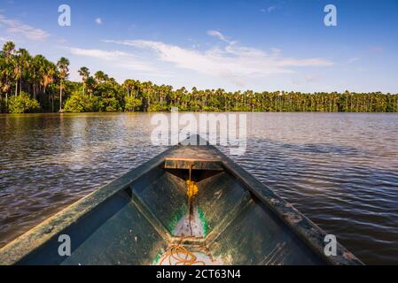 Gita in canoa sul lago Sandoval, la riserva nazionale di Tambopata, la giungla amazzonica del Perù, Sud America Foto Stock