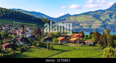 Spiez villaggio sulla riva del lago di Thun nel cantone svizzero di Berna, Spiez, Svizzera. Foto Stock