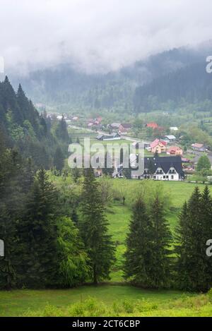 Misty paesaggio boschivo rumeno intorno al Monastero di Sucevita, Bukovina Regione, Romania Foto Stock