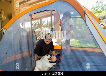 la ragazza adolescente e il suo fratello più giovane che istituisce la tenda sopra prato verde Foto Stock