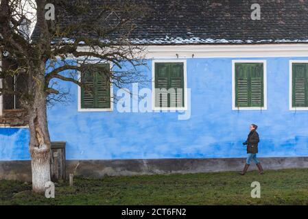 Case colorate a Viscri, Patrimonio dell'Umanità dell'UNESCO, Transilvania, Romania Foto Stock