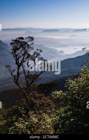 Vista nebbiosa di monti la salita Adam's Peak (Sri Pada) negli altopiani centrali dello Sri Lanka, in Asia Foto Stock