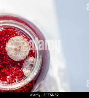Forgi in un vasetto di confettura di lamponi. Pericoloso per la salute. Foto Stock