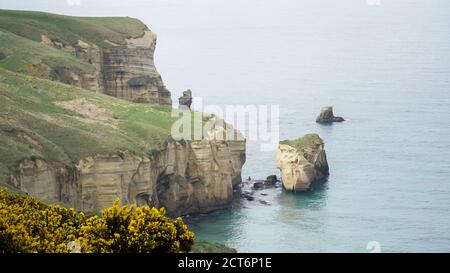 Tunnel Beach scogliere di arenaria sulla spiaggia vicino a Dunedin, Nuova Zelanda. Foto Stock