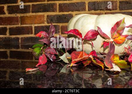 Una zucca della corona circondata dalle foglie colorate dell'autunno Un superriduttore Virginia con uno sfondo in mattoni Foto Stock