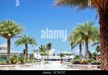 Le strade costeggiate da palme a Nassau, Bahamas Foto Stock