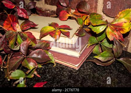 Una pila di tre libri antichi, circondati dalle colorate foglie autunnali di un superriduttore della Virginia Foto Stock