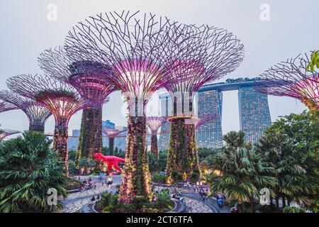 Vista notturna del Supertree Grove a Gardens by the Bay su Singapore. Che si estende su 101 ettari il SuperTree Grove si estende sotto il Blue Night Sky a S. Foto Stock