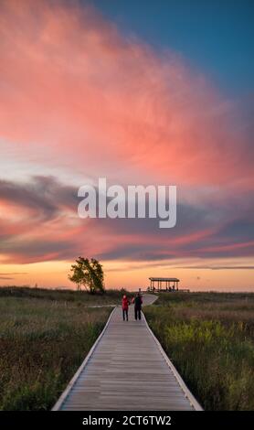 Headlands Beach state Park, passerella paludosa al tramonto Foto Stock