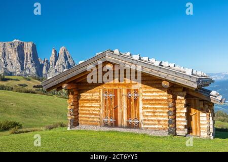 Sul Alpe di Siusi, con vista sul monte Sciliar, Alto Adige Foto Stock