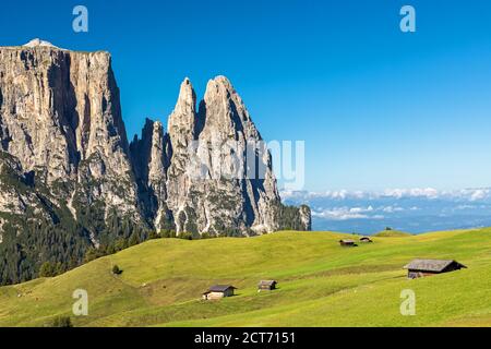 Sul Alpe di Siusi, con vista sul monte Sciliar, Alto Adige Foto Stock