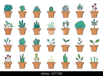 Icone lineari flowerpot. Set di piante floreali di colore in pentole. Icone pianta domestica. Illustrazione vettoriale Illustrazione Vettoriale