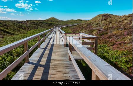 Percorso di tavole di legno attraverso il paesaggio di dune protette dell'isola Sylt, Germania Foto Stock