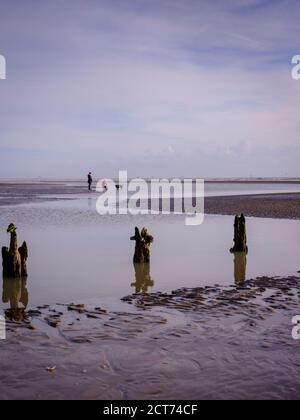 Dog Walkers sulla spiaggia di Wichelsea in luce di sera, Sussex orientale Foto Stock