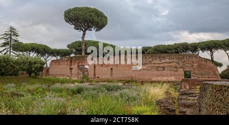 Il Colle Palatino è pieno di affascinanti rovine archeologiche romane e i fiori selvatici crescono tra le rovine, Roma, Italia Foto Stock