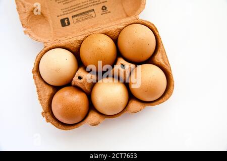 Mezza dozzina di uova di colore marrone su un bianco sfondo Foto Stock