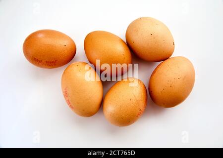 Mezza dozzina di uova di colore marrone su un bianco sfondo Foto Stock