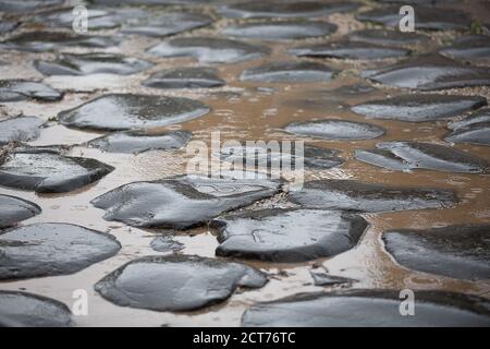 Antico percorso acciottolato Via Sacra. Una delle strade più antiche di Roma, situata nel Foro Romano, fatta di pietre lastricate di basalto vulcanico, Roma, Italia Foto Stock