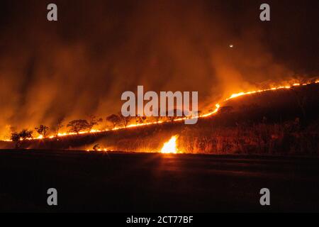 19 settembre 2020, Brasile, Sao Joao da Aliança: Fiamme nel Parco Nazionale Chapada dos Veadeiros. C'è anche un incendio nel Pantanal, la più grande zona umida del mondo. Gli incendi hanno già distrutto un quinto, circa 30,000 chilometri quadrati, della zona Pantanal negli stati di Mato Grosso e Mato Grosso do sul - una zona più grande di Israele. Foto: Myke Sena/dpa Foto Stock