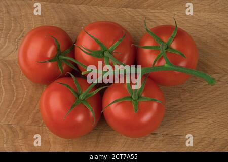 Ramificazione con cinque pomodori rossi su tavola di legno Foto Stock