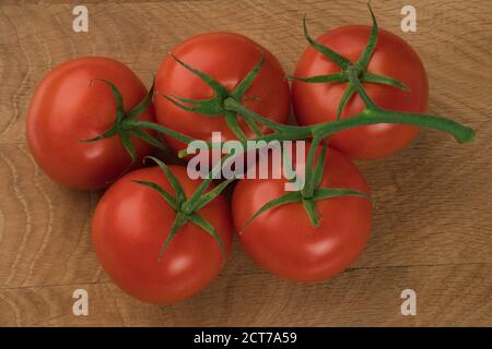 Ramificazione con cinque pomodori rossi su tavola di legno Foto Stock