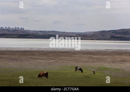 Istanbul. 21 Settembre 2020. Foto scattata il 21 settembre 2020 mostra il lago Buyukcekmece con letto a lago esposto a Istanbul, Turchia. La gigantesca metropoli turca di Istanbul ha cercato di far fronte alla carenza d'acqua alimentata da precipitazioni inefficienti e da una stagione estiva secca. Il livello dell'acqua in nove diverse dighe che hanno fornito le esigenze della città è sceso al 40% a partire da lunedì, in calo dal 52% nello stesso periodo dell'anno scorso. Credit: Osman Orsal/Xinhua/Alamy Live News Foto Stock