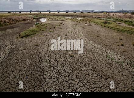 Istanbul. 21 Settembre 2020. Foto scattata il 21 settembre 2020 mostra il letto del fiume essiccato di un fiume a Istanbul, Turchia. La gigantesca metropoli turca di Istanbul ha cercato di far fronte alla carenza d'acqua alimentata da precipitazioni inefficienti e da una stagione estiva secca. Il livello dell'acqua in nove diverse dighe che hanno fornito le esigenze della città è sceso al 40% a partire da lunedì, in calo dal 52% nello stesso periodo dell'anno scorso. Credit: Osman Orsal/Xinhua/Alamy Live News Foto Stock