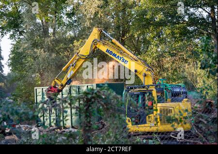 Harefield, Middlesex, Regno Unito. 21 Settembre 2020. Oggi numerosi alberi maturi venivano abbattuti da appaltatori HS2 accanto alla Riserva Naturale di Broadwater, un sito di interesse scientifico speciale (SSSI). Il controverso ed eccessivo lavoro di costruzione del collegamento ferroviario ad alta velocità è ora ufficialmente iniziato e l'impatto negativo si sta avvertendo in molte aree rurali lungo la linea del collegamento ferroviario da Londra a Birmingham. 693 siti di fauna selvatica, 108 boschi antichi e 33 SSSI sono a rischio di HS2. Credit: Maureen McLean/Alamy Live News Foto Stock