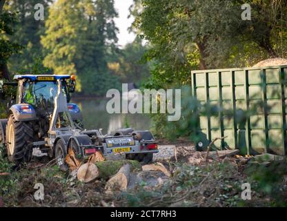 Harefield, Middlesex, Regno Unito. 21 Settembre 2020. Oggi numerosi alberi maturi venivano abbattuti da appaltatori HS2 accanto alla Riserva Naturale di Broadwater, un sito di interesse scientifico speciale (SSSI). Il controverso ed eccessivo lavoro di costruzione del collegamento ferroviario ad alta velocità è ora ufficialmente iniziato e l'impatto negativo si sta avvertendo in molte aree rurali lungo la linea del collegamento ferroviario da Londra a Birmingham. 693 siti di fauna selvatica, 108 boschi antichi e 33 SSSI sono a rischio di HS2. Credit: Maureen McLean/Alamy Live News Foto Stock