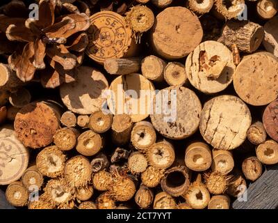 La vicinanza di un hibernaculum, comunemente noto come un bug hotel. Foto Stock