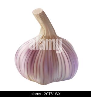 Bulbo d'aglio realistico isolato su bianco. Illustrazione vettoriale della pianta di stagionatura delle spezie Illustrazione Vettoriale