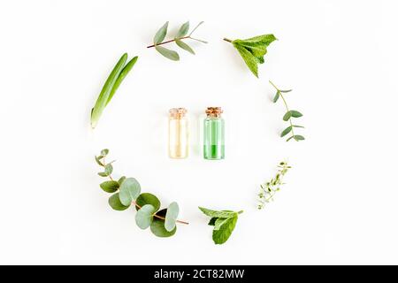 Olio essenziale e corona rotonda fatta di miscela di erbe, rami verdi, foglie di menta, eucalipto, timo e raccolta di piante su sfondo bianco. Foto Stock