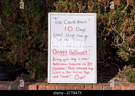 Cani sulla spiaggia conto alla rovescia a Southend sul mare, Essex, Regno Unito, anche la pubblicità Dogy Halloween. Concorso di costume di Halloween per cani Foto Stock