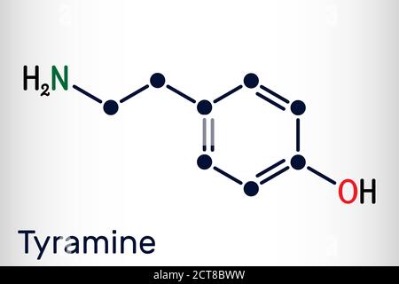 Tiramina, molecola di tiramina. Si tratta di composto monoamminico derivato dalla tirosina. Formula chimica scheletrica. Illustrazione vettoriale Illustrazione Vettoriale