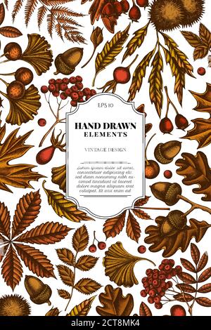 Cartoncino con felce colorate, rosa canina, rowan, ginkgo, acero, quercia, castagno, castagno, biancospino Illustrazione Vettoriale