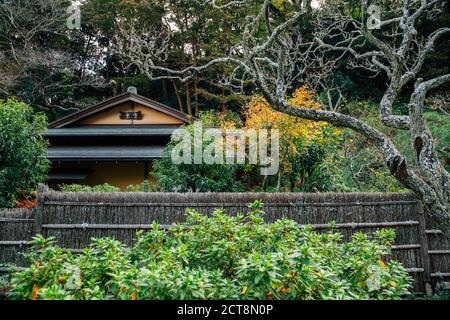 Tokei-ji il tempio di Kamakura, Giappone Foto Stock