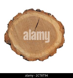 Un taglio di legno segato. Un pezzo di legno su sfondo bianco. Foto Stock