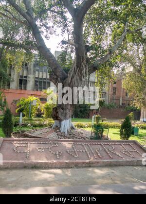 targa di nome al sito di massacro di jallianwala bagh ad amritsar, india Foto Stock