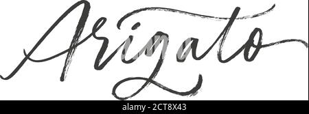 Grazie in giapponese inchiostro pennello vettoriale lettering. Illustrazione Vettoriale