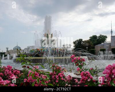 Fountain Stone Flower al Centro Espositivo All-Russian Centro Espositivo All-Russian, ex Mostra dei risultati dell'Economia Nazionale in MOS Foto Stock