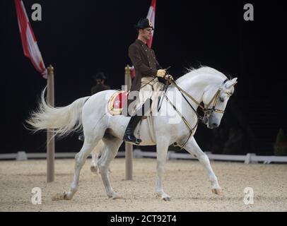 LA SCUOLA DI EQUITAZIONE SPAGNOLA SI ESIBIR PRESSO LA WEMBLEY ARENA DI LONDRA. PHOTO CREDIT : © MARK PAIN / ALAMY STOCK PHOTO Foto Stock