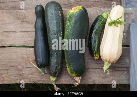 Le zucchine verdi e la zucca si trovano su un pavimento di legno rurale, vista dall'alto Foto Stock