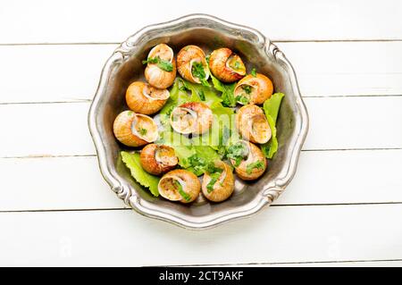 Escargots o lumaca con aglio burro. Lumache cotte Foto Stock