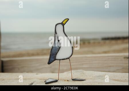 Seagull sulla spiaggia Foto Stock