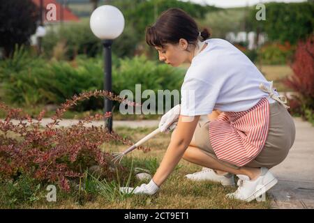 Donna lavora con mini rastrello in giardino, rimuove le erbacce, taglia attraverso piante e fiori Foto Stock